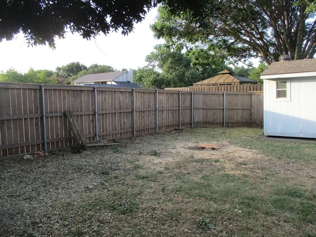 Cleared yard after professional tree removal in Fremont